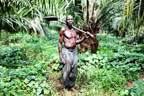 Bugala島上的工人正在雨林中進行砍伐活動，以擴建一處棕櫚園。棕櫚油是烏干達的新興產業。（圖：Friends of the Earth International）