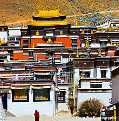 扎什伦布寺 Tashilhunpo Monastery