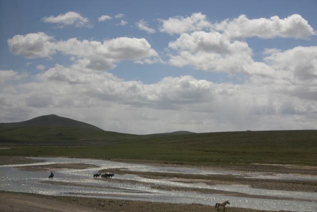 བོད 消失的香巴拉 བོད 可可西里 找藏羚羊