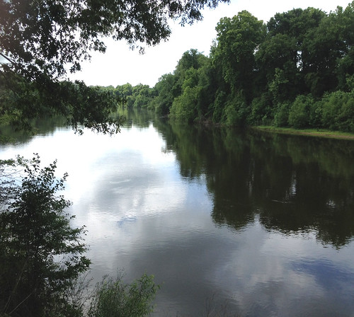 Water quality in the Wateree River is protected and improved thanks to the restoration work done on nearly 2,000 acres in Kershaw County, SC. 