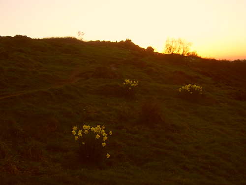 Chevin Sunsets 003