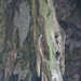 Chinhoyi Caves impressions - IMG_4358_CR2