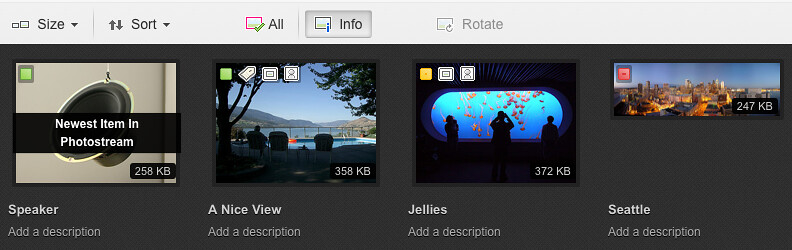 Flickr Web Upload UI: Info View