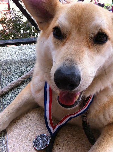 Guilda and her Medal