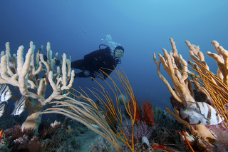 Gray's Reef National Marine Sanctuary