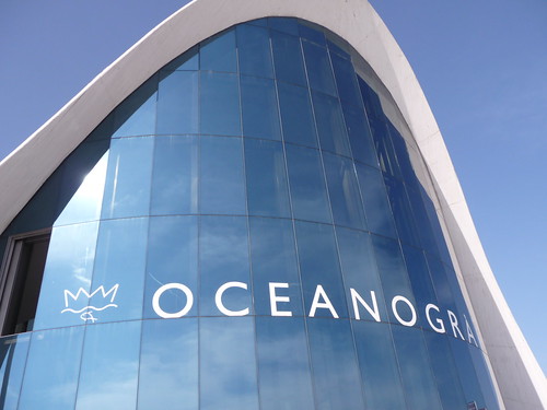 Oceanogràfic by Ginas Pics