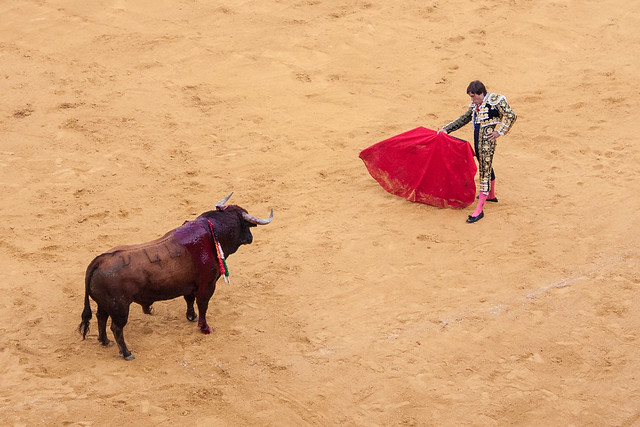 Bullfight-161.jpg