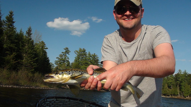 Scott with a solid Landlocked Salmon from the Kennebec River