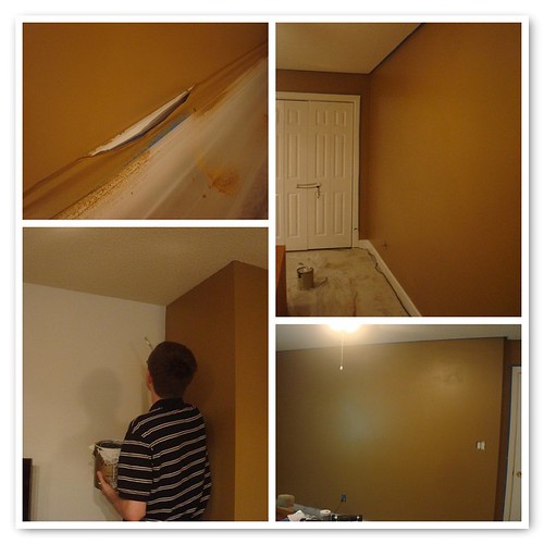 Paint and Trim!