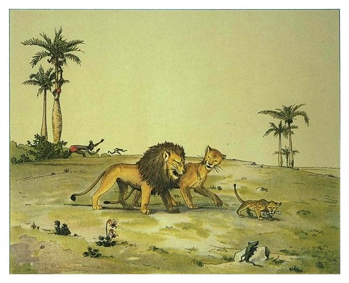 010-Paseo dominical-Afrika  Studien und Einfaelle eines Malers 1895- Hans Richard von Volkmann- Universitätsbibliotheken Oldenburg