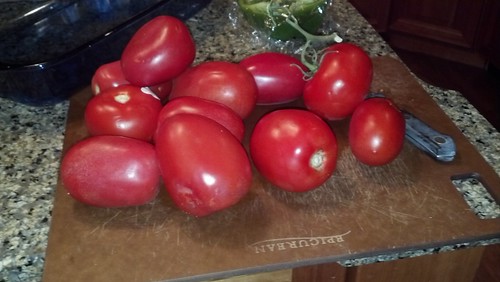 Tomatoes left in my refridgerator