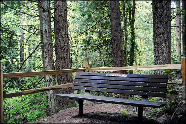 Park Bench - Hoyt Arboretum - Portland, Oregon