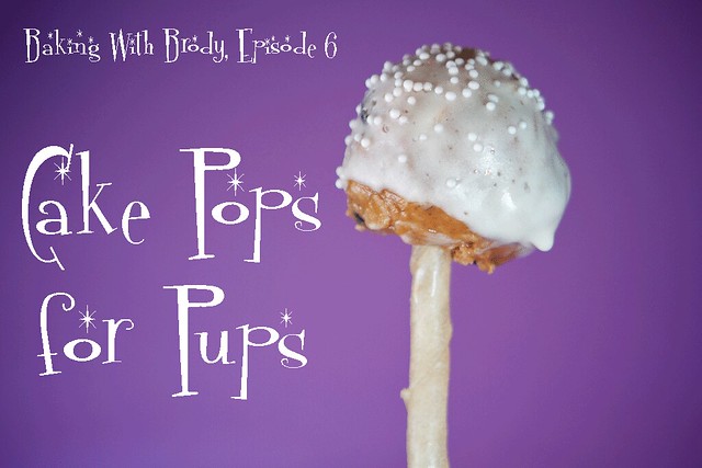 Cake pops for pups