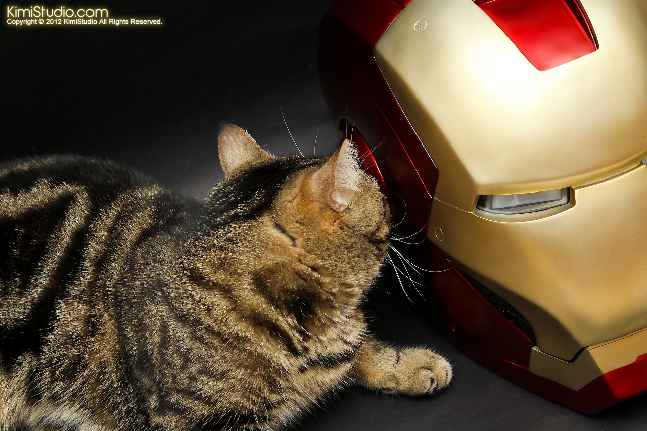 2012.05.10 Iron Man Helmet-007