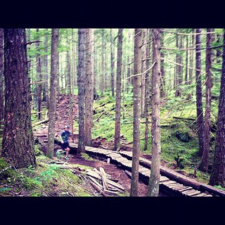 Catching my run partner sidestepping some woodwork during a 40k #Squamish50 run day