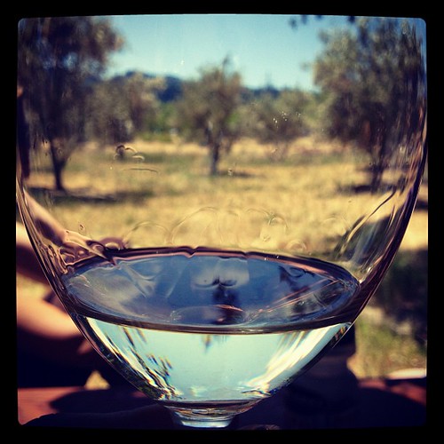 Lava vine wine glass #xproii #napa