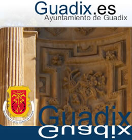 Cabecera sitio web ayuntamiento de Guadix