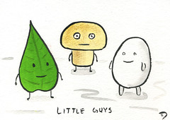 The Little Guys