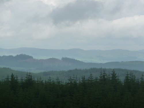 Grizedale forest - Silurian way view