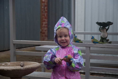 Charlotte playing in the rain