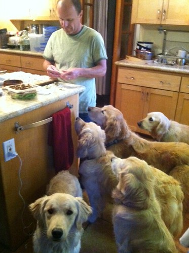 Eric making Gyouza with furry assistants