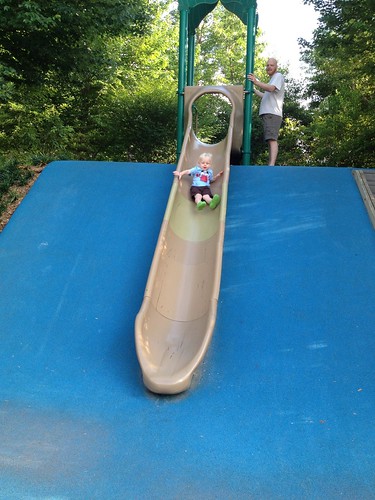 Hill slide at North Cary Park