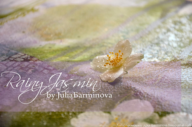 Дождливый жасмин Rainy jasmin-05 copy