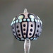 Single bead : Black nova leaf