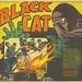 Now that's one dynamic Black Cat splash panel!