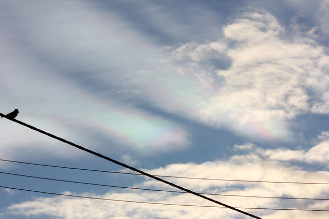 2012_02_23_Clouds_Irridescence-2