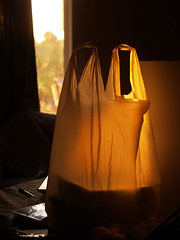 Plastic bag at sunset