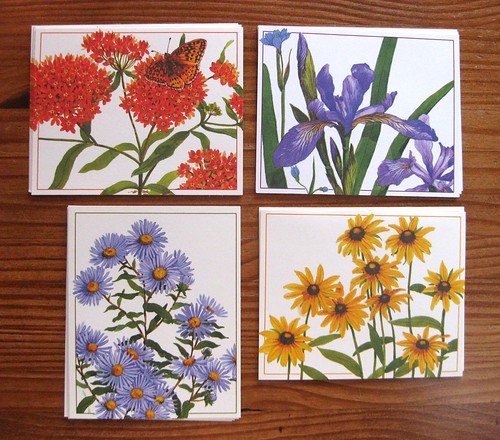 Vintage Current Meadow Medley Notecards 1