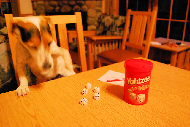 Junie B rolls the dice in Yahtzee - cabin 14 James River State Park