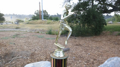 This year's trophy