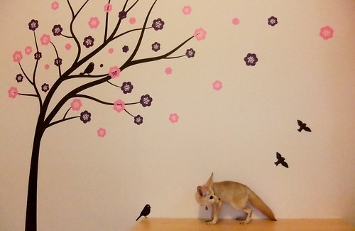 Mummy. . . There's a tree on the wall. . .