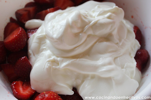 Helado de fresas y yogur (5)