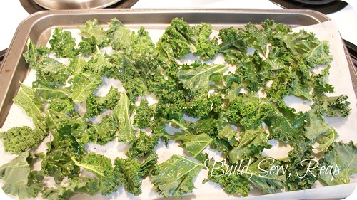 Kale Chips Ready to Bake