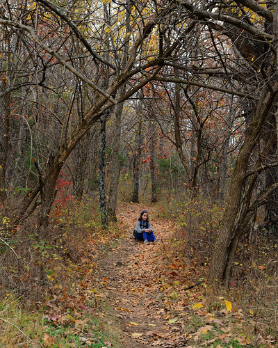 Picture of girl sitting in the middle of Sac River Trail with fall colors and fallen leaves.