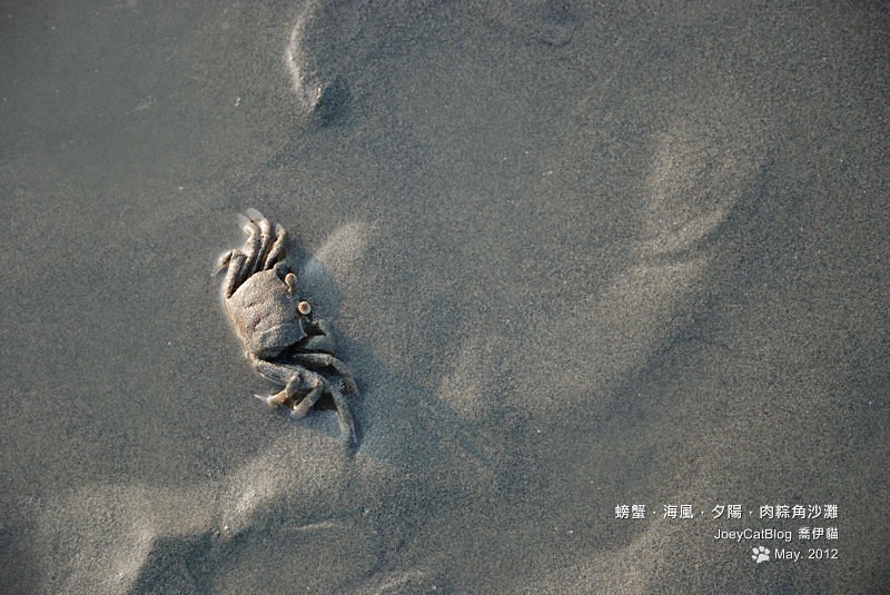 2012_0506_螃蟹，海風，夕陽，肉粽角沙灘DSC_4668