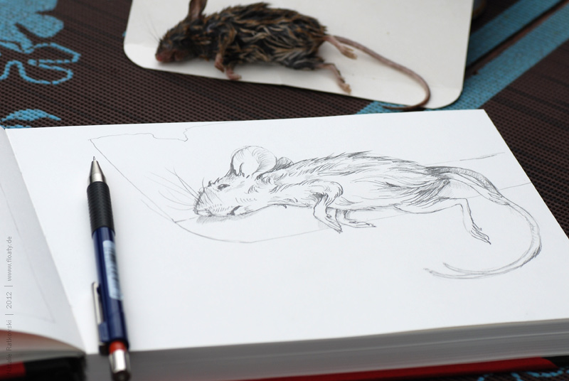365 дней в зарисовках: 129, 130 Mouse, sketch