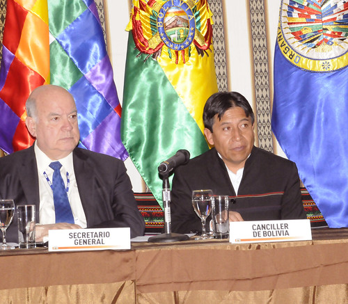 Secretario General de la OEA y el canciller de Bolivia participaron en almuerzo con Jefes de Delegación y Observadores Permanentes
