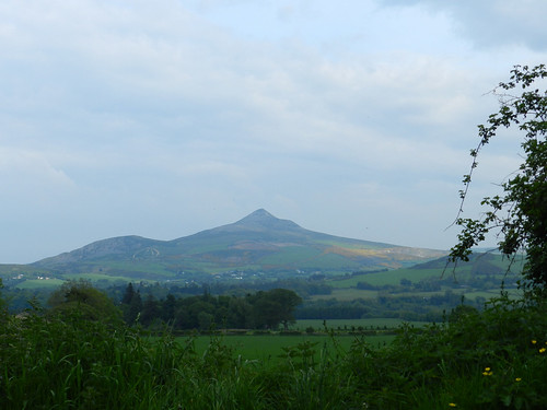 The Great Sugar Loaf
