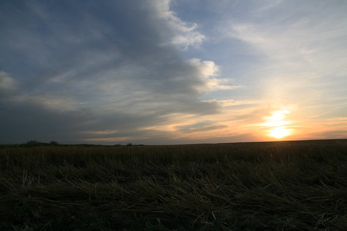 The sunset on our cut field