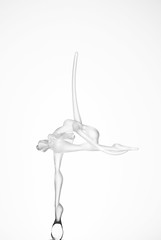 AFD-P52-S24_Prima Ballerina