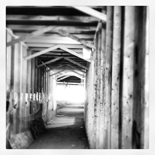 Under the 401 at Humber River Trail.JPG
