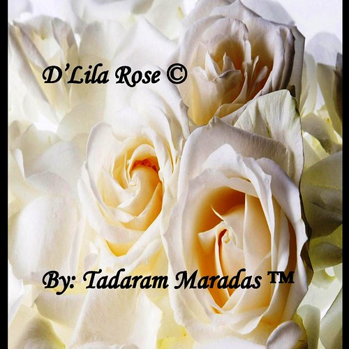 D' Lila Rose (C) by Tadaram Alasadro Maradas