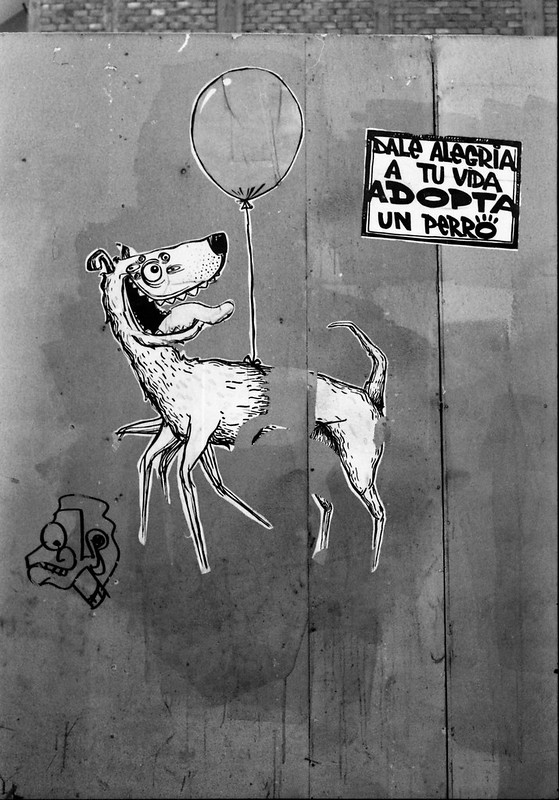 Fotografía convencional, Lima en rollo: "Adopta un perro"