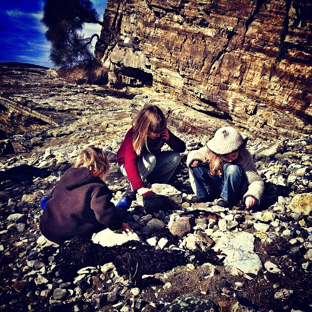 Fossil Fossick. #unschooling #instatassie3