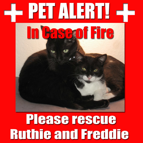 Pet Alert Please Rescue Ruthie and Freddie copy