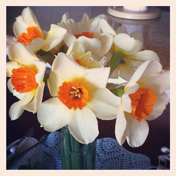 Daffodils for the table. Bringing spring indoors.